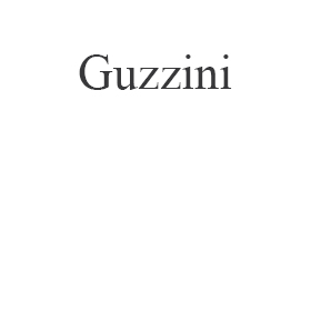 Naprawa Guzzini