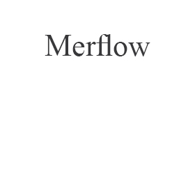 Naprawa Merflow